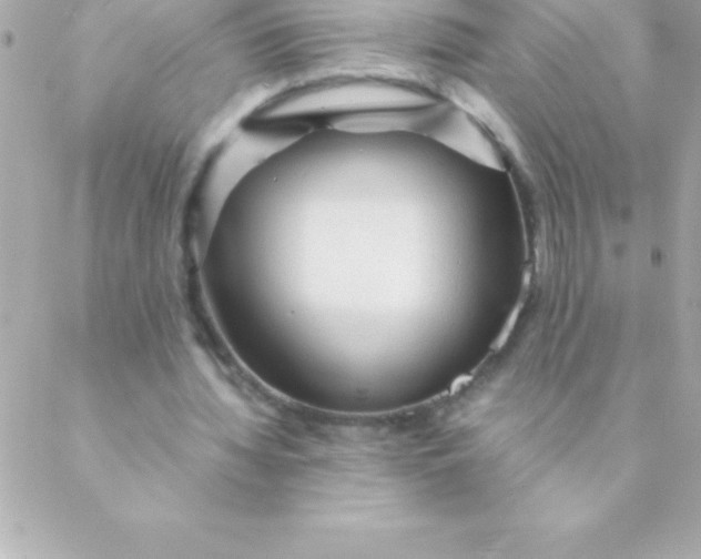 X0000088620436200706151856