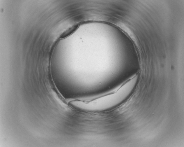 X0000088620437200706151856