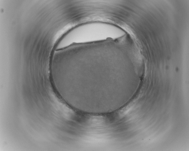 X0000088620438200706151856