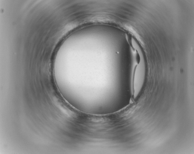 X0000088620439200706151856