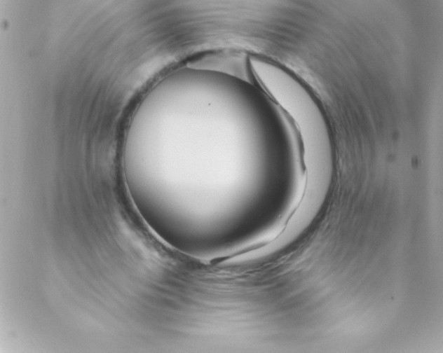 X0000088620440200706151856