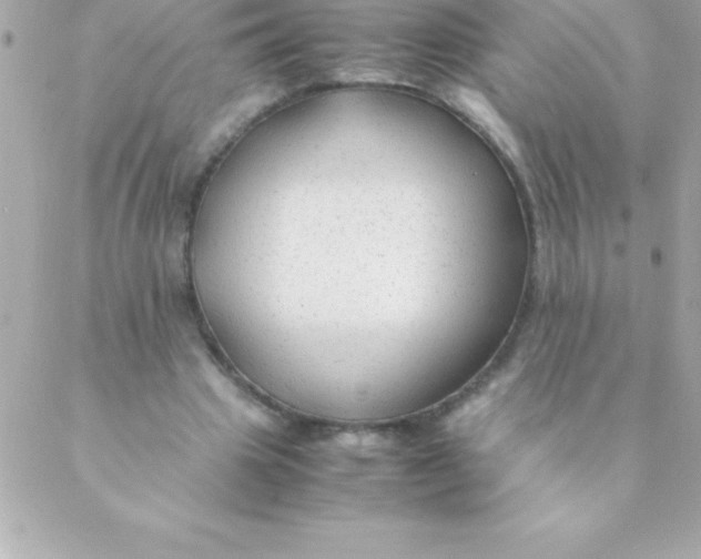 X0000088620441200706151856