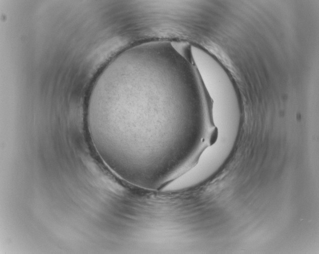 X0000088620442200706151856