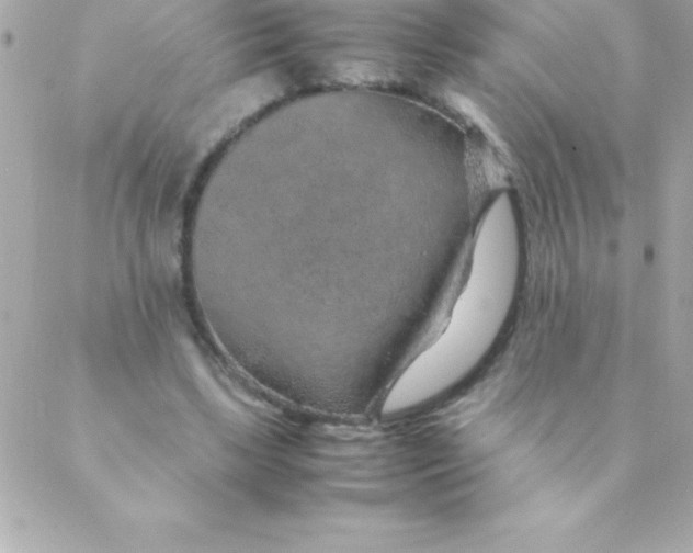 X0000088620443200706151856