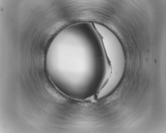 X0000088620446200706151856