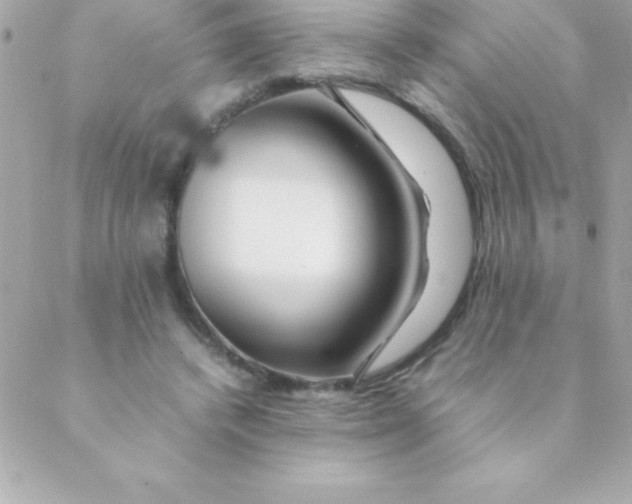 X0000088620448200706151856