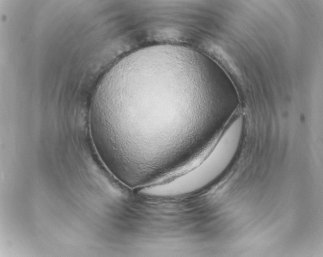 X0000088620449200706151856