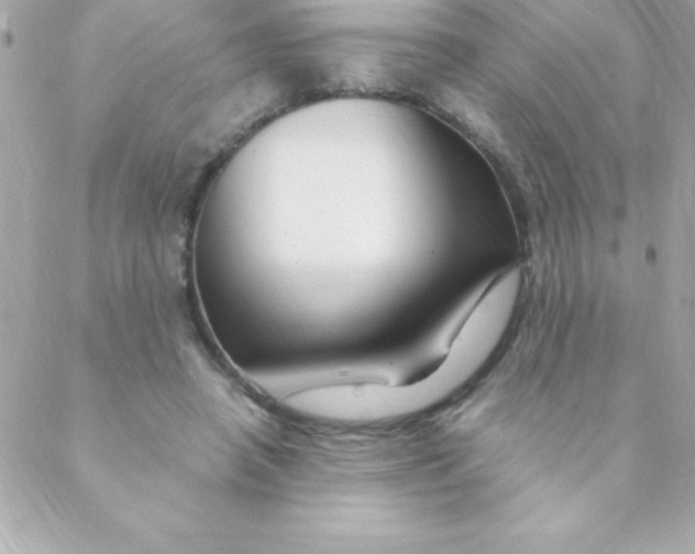 X0000088620450200706151856