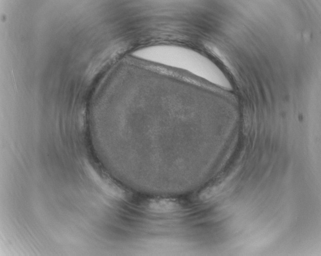 X0000088620451200706151856