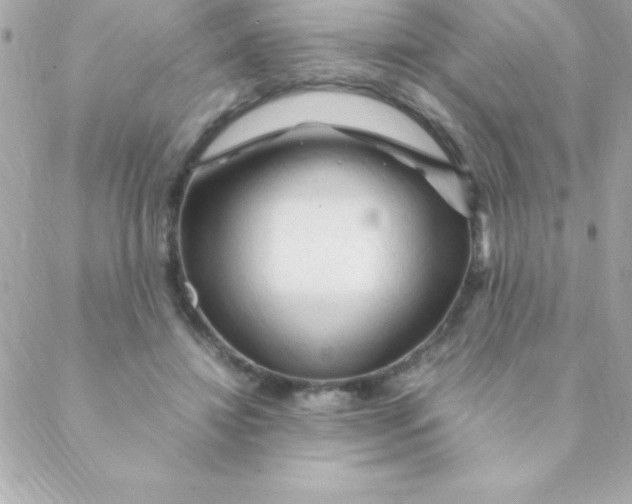 X0000088620452200706151856