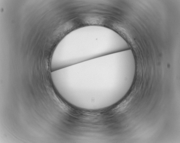 X0000088620453200706151856