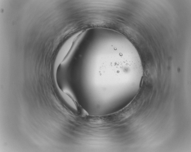 X0000088620454200706151856