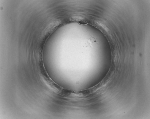 X0000088620455200706151856