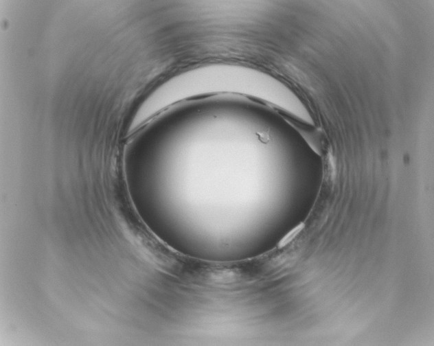 X0000088620456200706151856