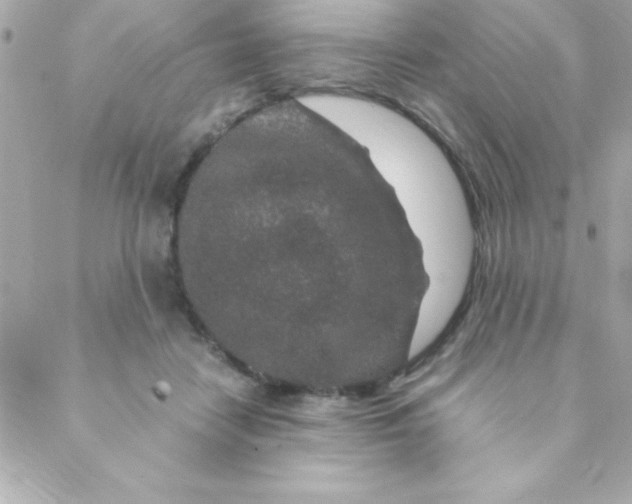 X0000088620458200706151856