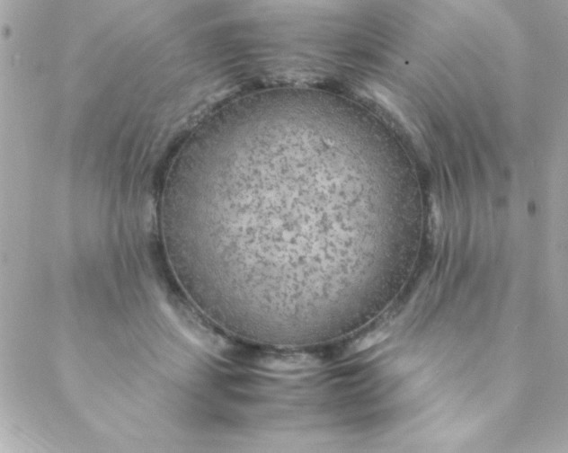 X0000088620459200706151856