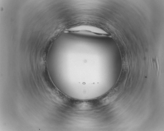 X0000088620460200706151856