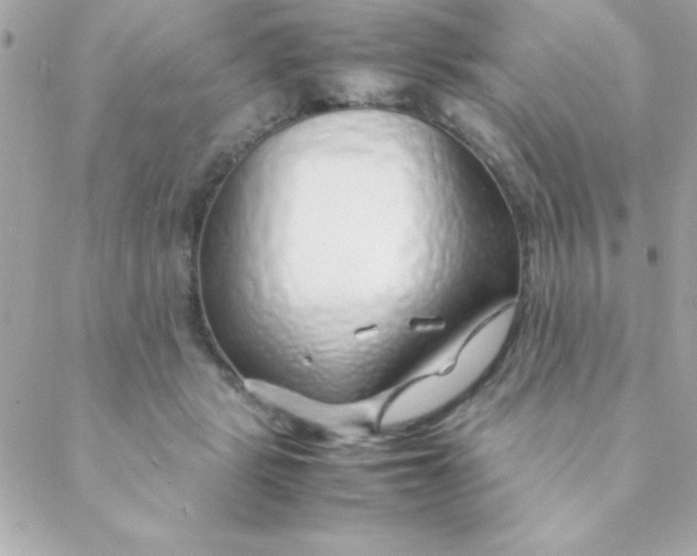 X0000088620461200706151856