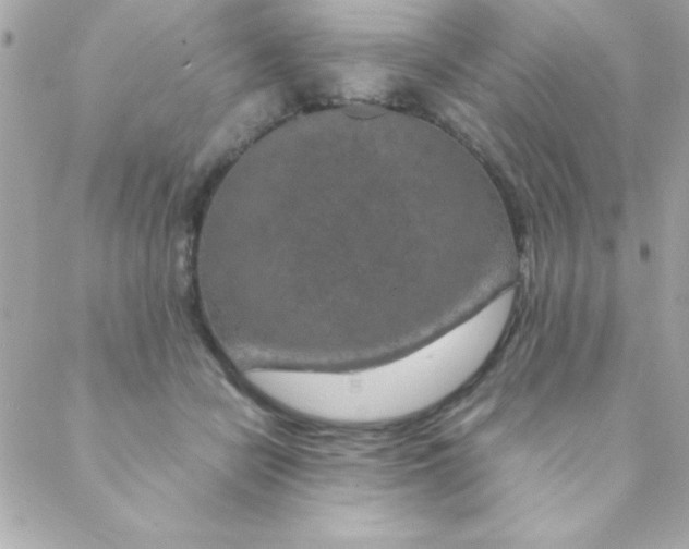 X0000088620462200706151856