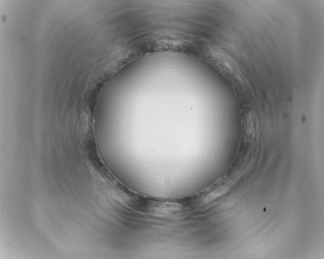 X0000088620463200706151856