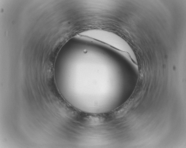 X0000088620464200706151856