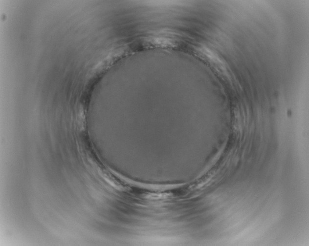 X0000088620465200706151856