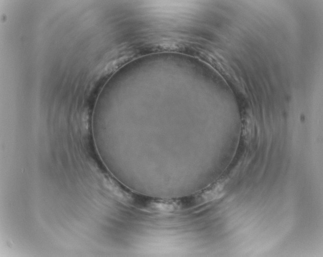 X0000088620466200706151856