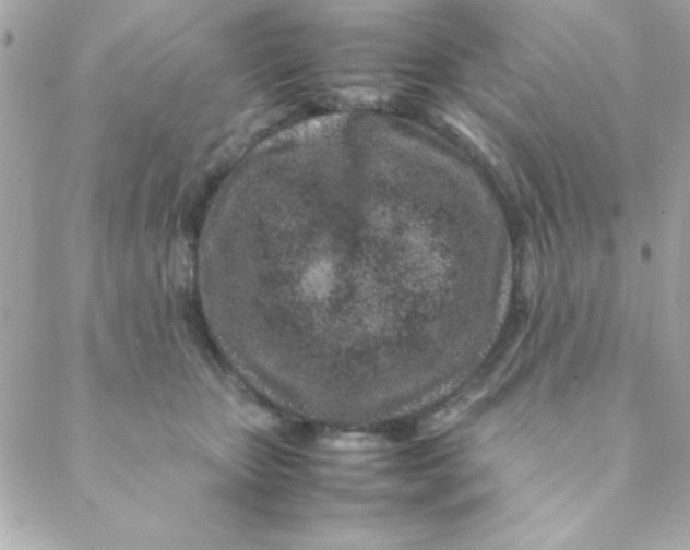 X0000088620467200706151856