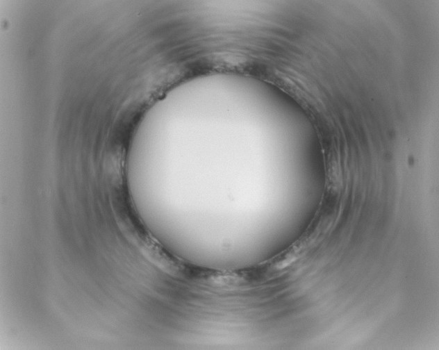 X0000088620468200706151856