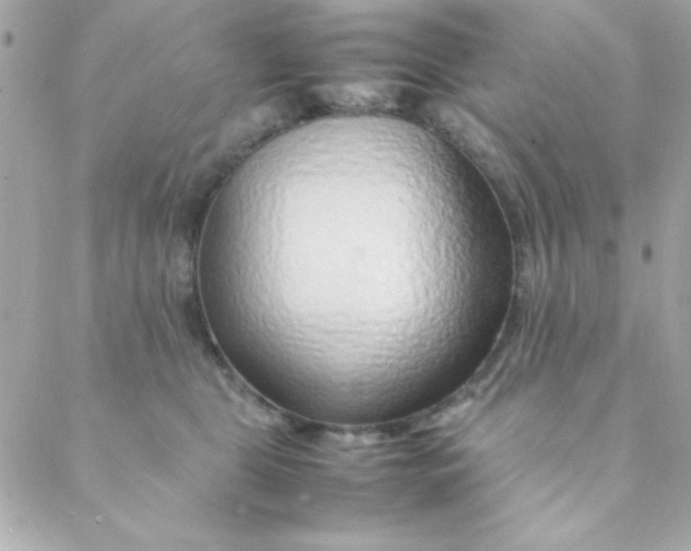 X0000088620469200706151856