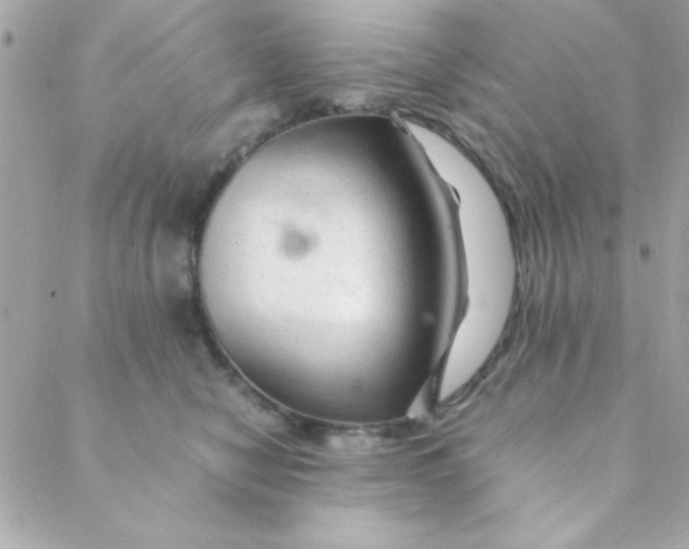 X0000088620470200706151856