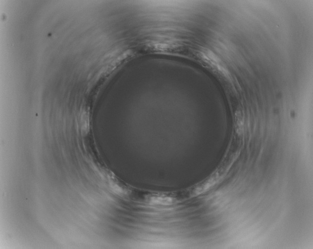 X0000088620471200706151856