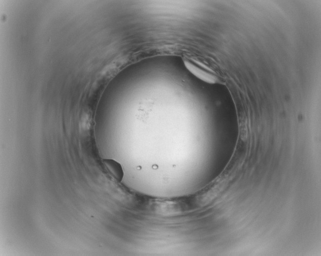 X0000088620472200706151856