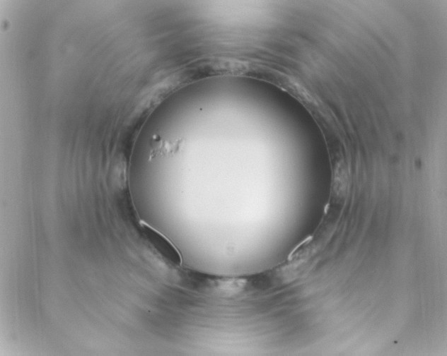 X0000088620474200706151857