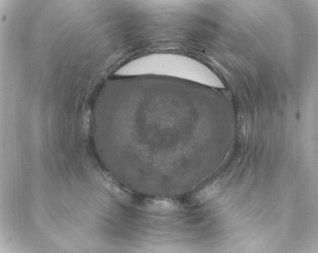 X0000088620475200706151857