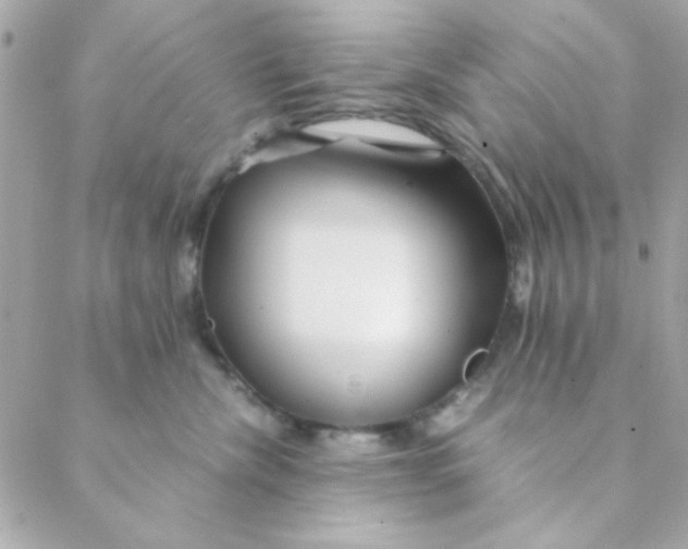 X0000088620476200706151857