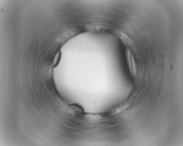 X0000088620477200706151857