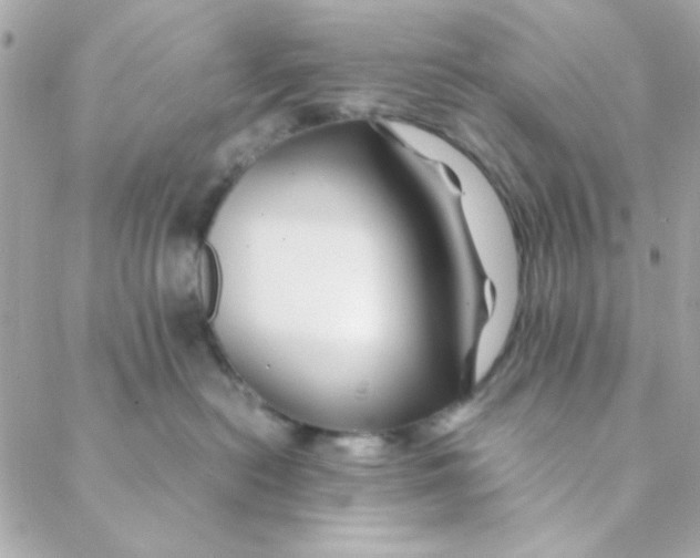 X0000088620478200706151857