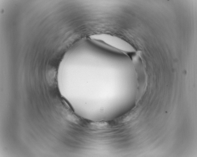 X0000088620480200706151857