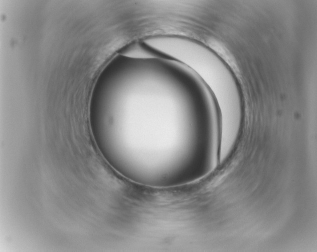 X0000088620481200706151856