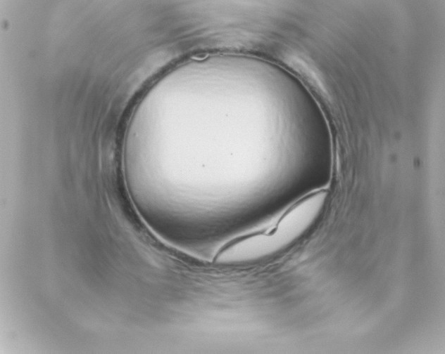 X0000088620483200706151856