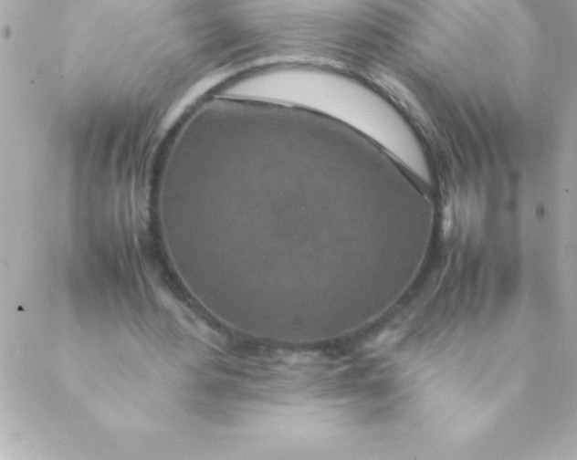 X0000088620484200706151856