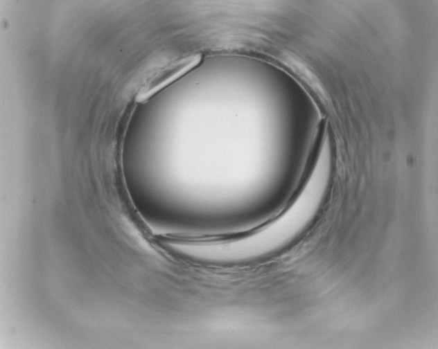 X0000088620485200706151856