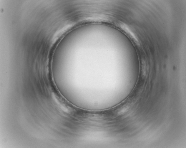 X0000088620486200706151856