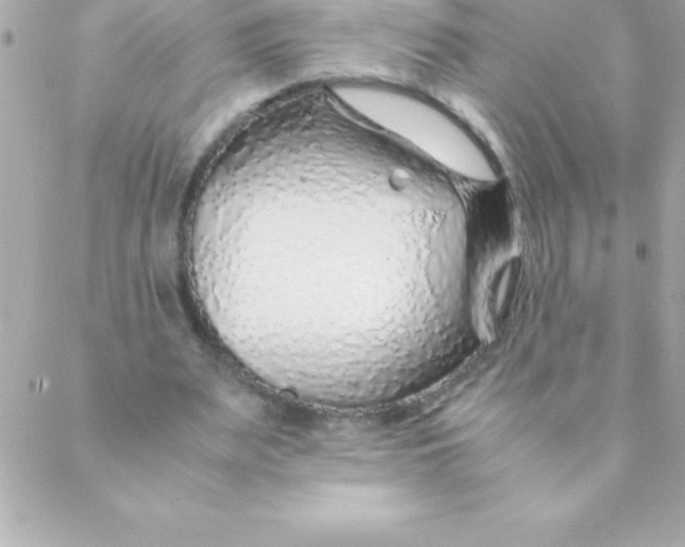 X0000088620487200706151856