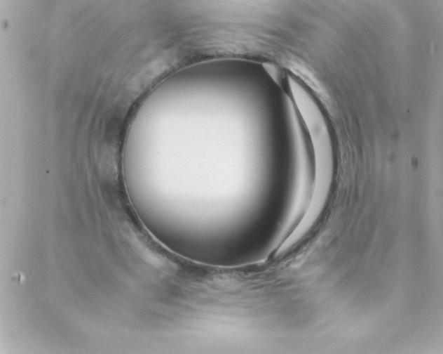 X0000088620489200706151856