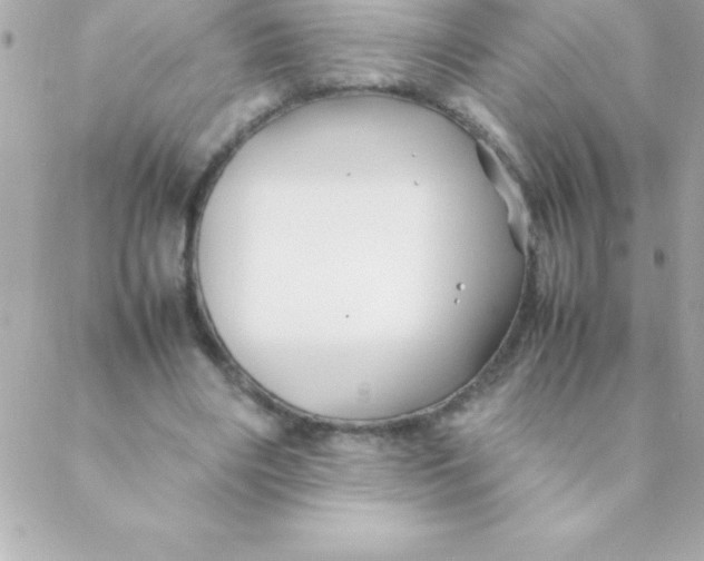 X0000088620490200706151856