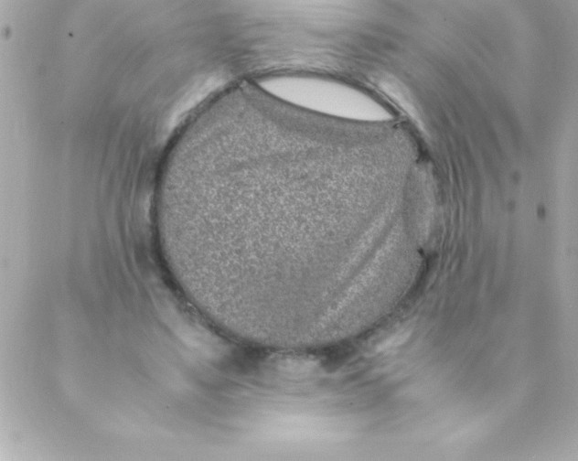 X0000088620491200706151856