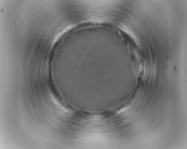 X0000088620492200706151856