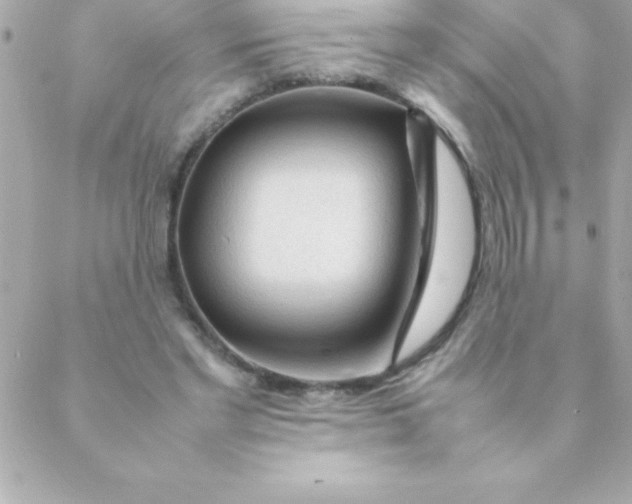 X0000088620493200706151856